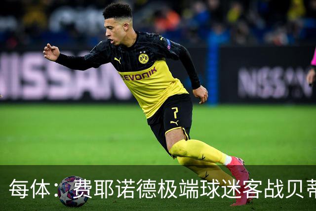每体：费耶诺德极端球迷客战贝蒂斯赛前在塞维利亚闹事