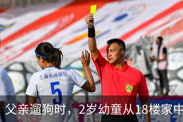 父亲遛狗时，2岁幼童从18楼家中坠亡：母亲报案“过失致人死亡”未获立案，称将申请立案监督